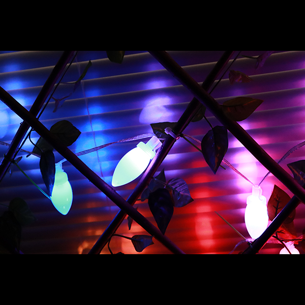 C9 White Bulb Light